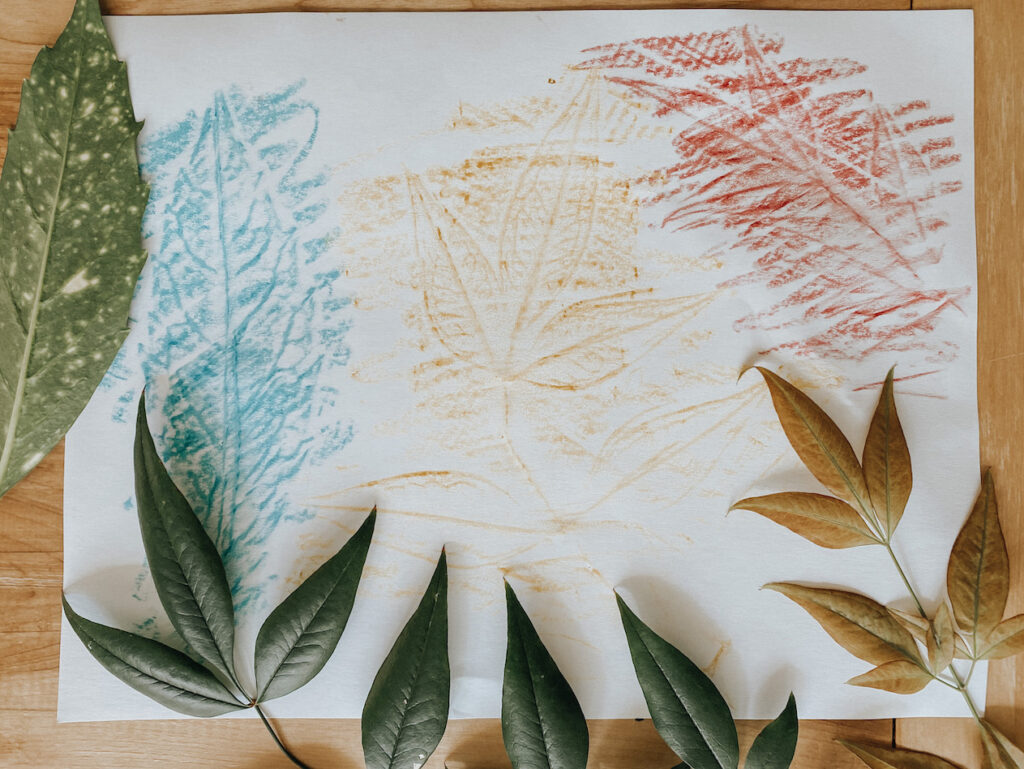 a paper with color leaf rubbings with leaf foliage on top