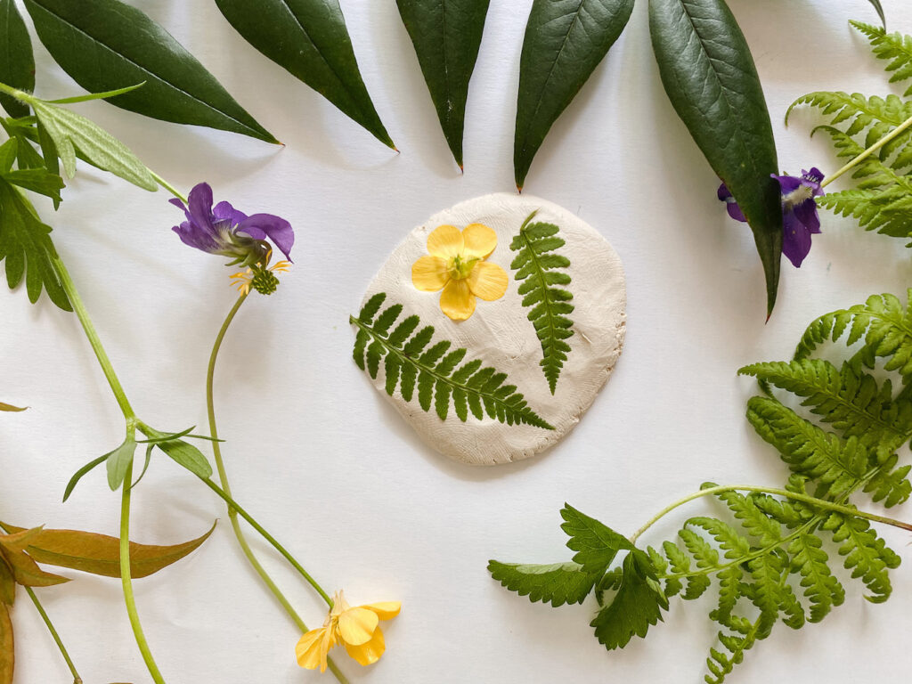 an air dry clay circle with pressed nature walk activity findings pressed in (fern and flower) sitting on a white piece of paper with leaf, fern, and flower foliage surrounding it