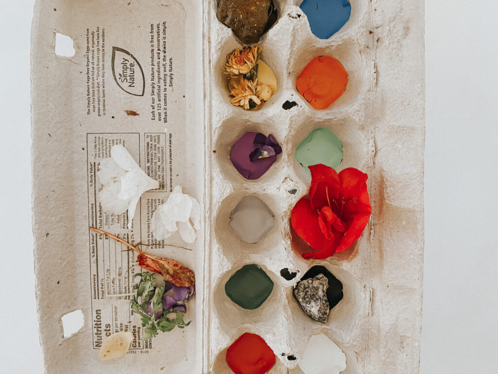 an egg carton craft with colored circles and matching colored nature walk activity finds like flowers, rocks, and leaves